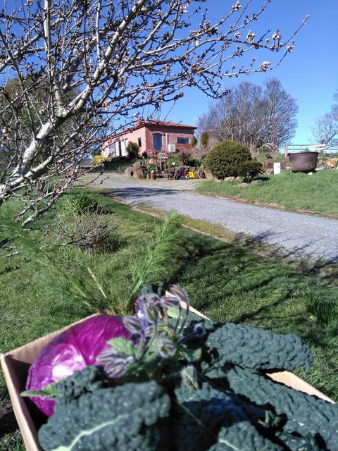 Cherry Top Farmstay - Boutique Eco Village - Accommodation Melbourne 23
