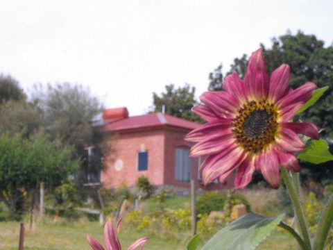 Cherry Top Farmstay - Boutique Eco Village - Accommodation Melbourne 27