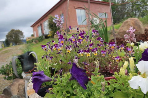 Cherry Top Farmstay - Boutique Eco Village - Accommodation Melbourne 7