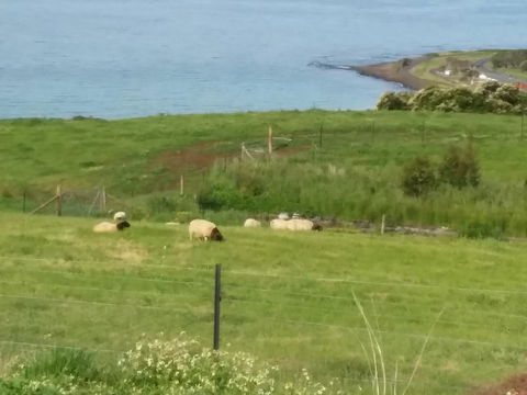Penguin Seaside Farm - Accommodation Melbourne 7