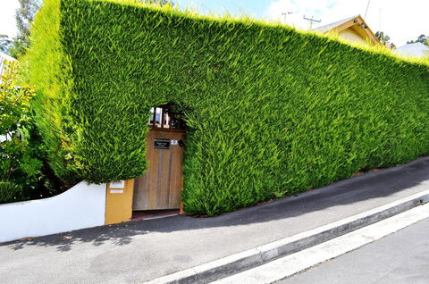 Belton Apartments-Hedge Cottage - Accommodation Melbourne 13