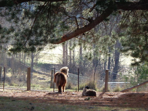 Post House Cottage - Accommodation Melbourne 17