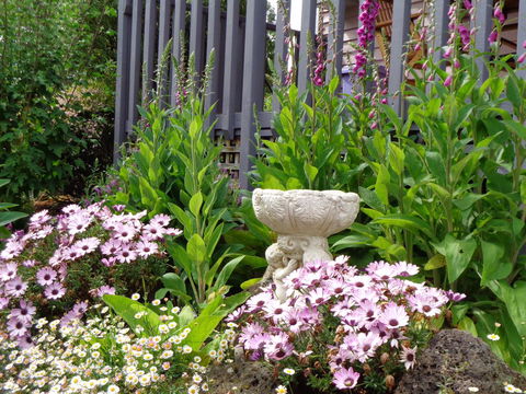 Post House Cottage - Accommodation Melbourne 19