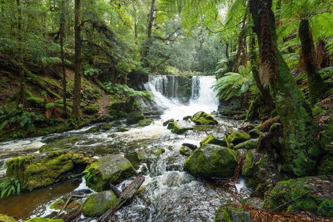 Post House Cottage - Accommodation Melbourne 22