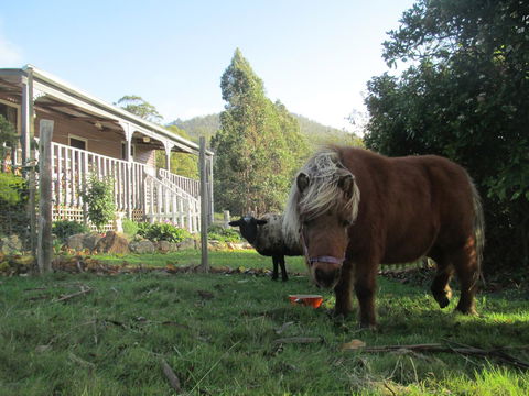 Post House Cottage - Accommodation Melbourne 3