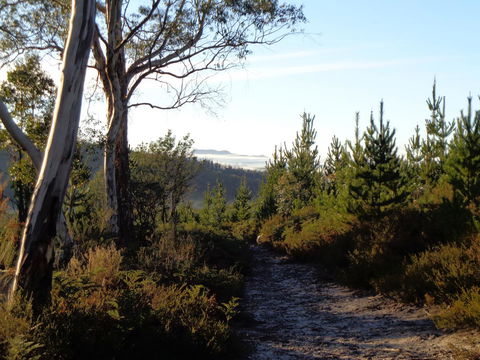 Post House Cottage - Accommodation Melbourne 24