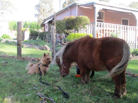 Post House Cottage - Accommodation Melbourne 4