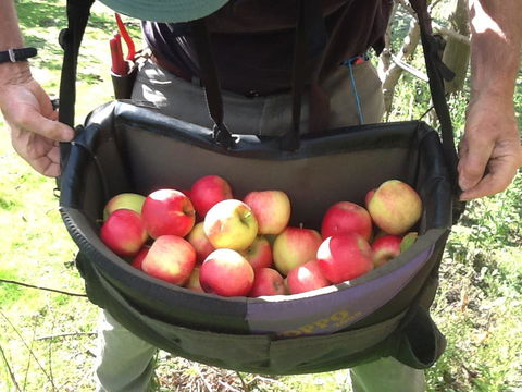 Eureka Farm - Accommodation Melbourne 24