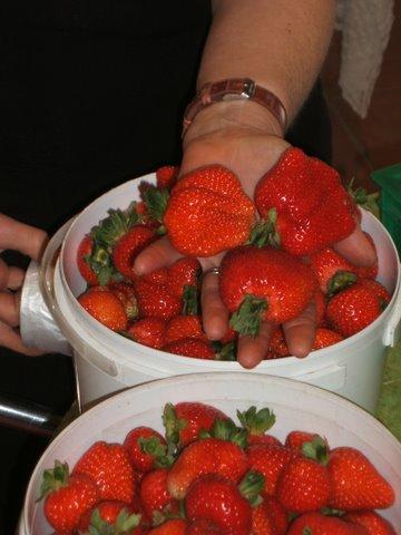 Eureka Farm - Accommodation Melbourne 17