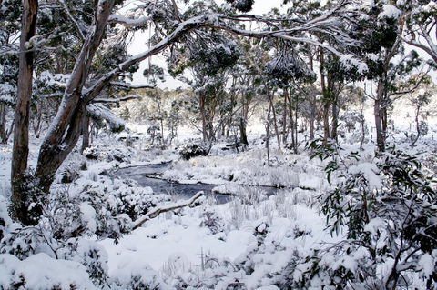 Cradle Mountain Love Shack - Accommodation Melbourne 11