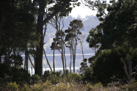 Riverwalk B&B - Accommodation Melbourne 20