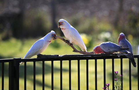 Riverwalk B&B - Accommodation Melbourne 28