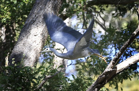 Riverwalk B&B - Accommodation Melbourne 15