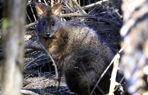 Riverwalk B&B - Accommodation Melbourne 24