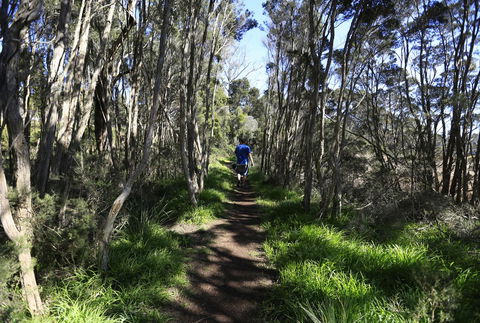 Riverwalk B&B - Accommodation Melbourne 31