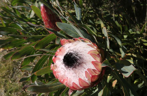 Riverwalk B&B - Accommodation Melbourne 38