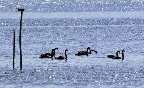 Riverwalk B&B - Accommodation Melbourne 25