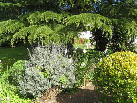 The Grove Cottages - Accommodation Melbourne 12