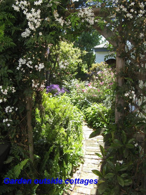 The Grove Cottages - Accommodation Melbourne 3