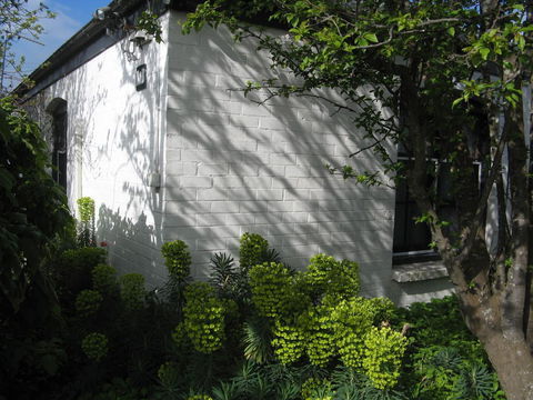 The Grove Cottages - Accommodation Melbourne 13