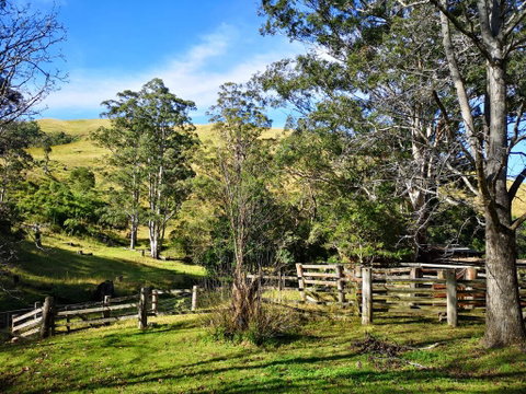 Nirvana Spiritual Retreat - Accommodation Melbourne 2