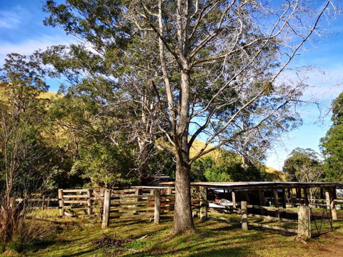 Nirvana Spiritual Retreat - Accommodation Melbourne 1