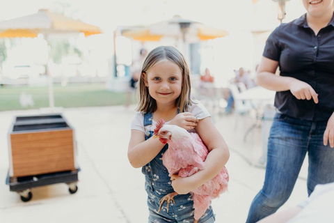 North Gregory Hotel - Accommodation Melbourne 2