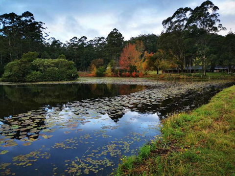 OCT Forest Lodge - Accommodation Melbourne 2