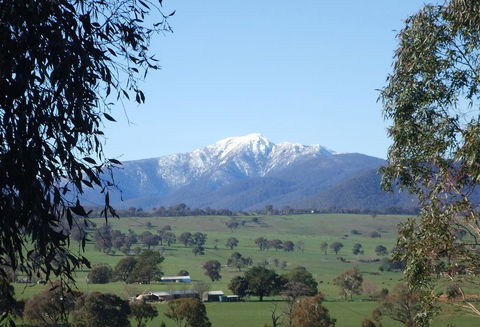Off Mountain Accommodation - Melbourne 4u 0