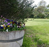 Padthaway Caravan Park - Accommodation Melbourne