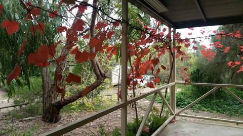 Padthaway Caravan Park - Accommodation Melbourne 1