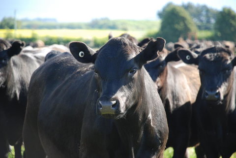 Panshanger Estate - Accommodation Melbourne 2