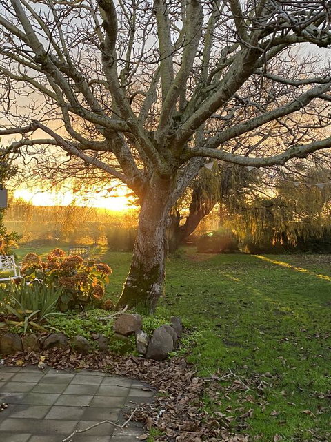 Peg Cottage - Accommodation Melbourne 0