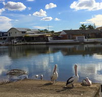 Pelican Cove Apartments - Accommodation Melbourne