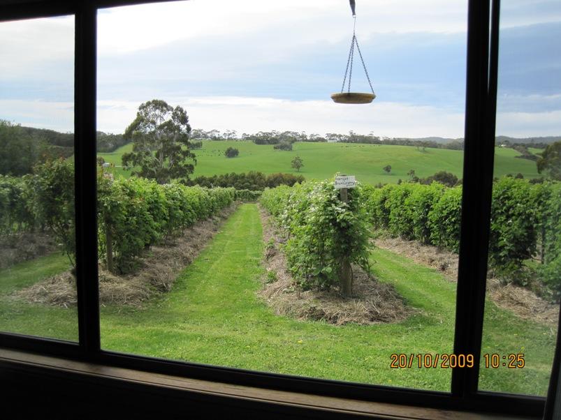 Barwon Downs ACT Accommodation Melbourne