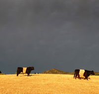 Peppertree Hill - Accommodation Melbourne