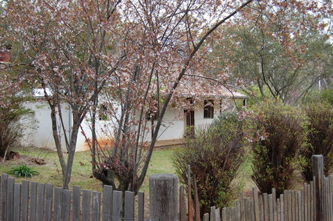 Pines Cottage - Accommodation Melbourne 3