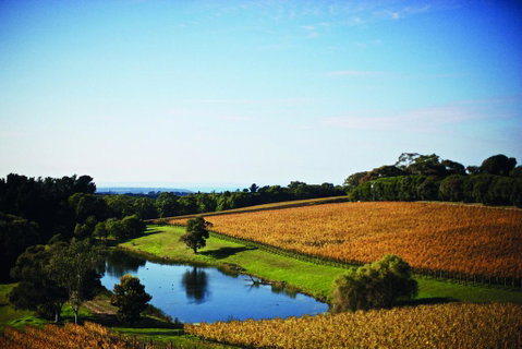 Port Phillip Estate - Accommodation Melbourne 2