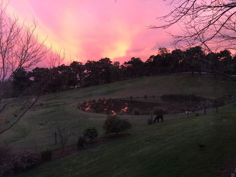 Raynella Alpaca Farmstay - Melbourne 4u 1