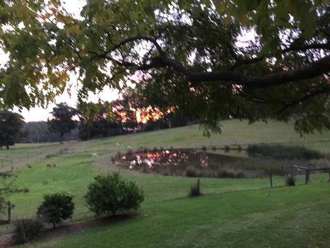 Raynella Alpaca Farmstay - Melbourne 4u 2