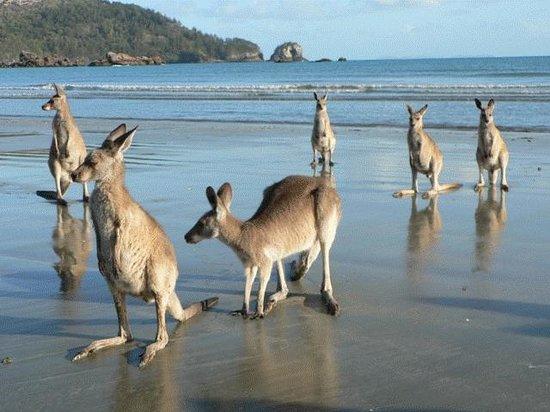 Clairview QLD Accommodation Melbourne
