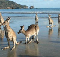 Seaforth Holiday Units - Accommodation Melbourne