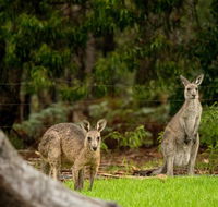 Secura Lifestyle Countryside Kalaru - Accommodation Melbourne