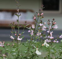 Serendipity on Allyn - Accommodation Melbourne