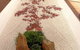 Shizuka Ryokan Japanese Country Spa & Wellness Retreat - thumb 3