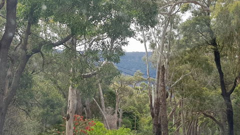 Six Seasons - Halls Gap - Accommodation Melbourne 3