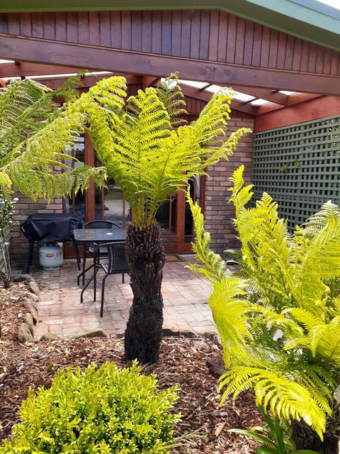 Sleepy Hollow Hideout (Hidout 2) - Accommodation Melbourne 1