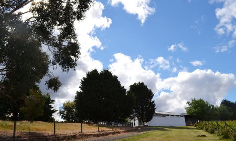 Springhill Winery - Accommodation Melbourne 2