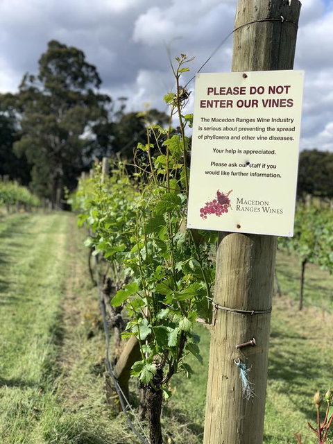 Springhill Winery - Accommodation Melbourne 3