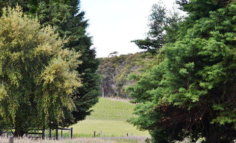 Springhill Winery - Accommodation Melbourne 1